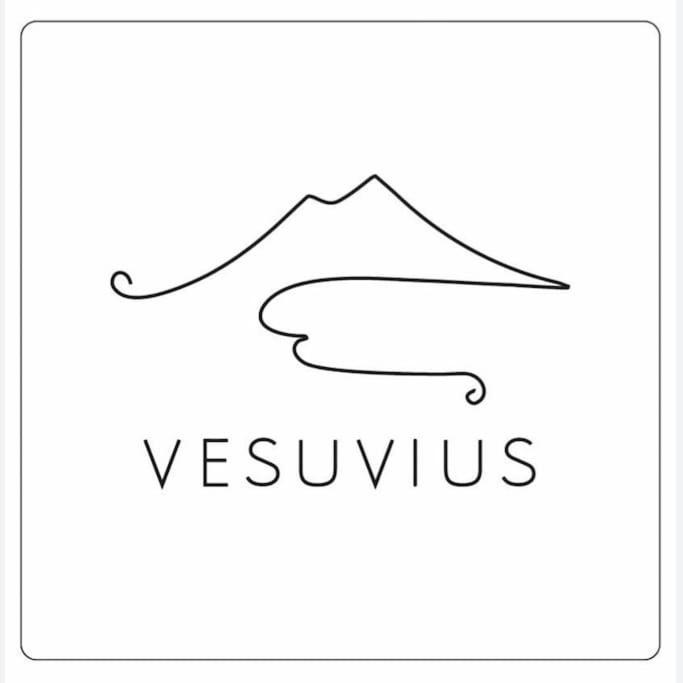 Vesuvius A Mezzocannone Διαμέρισμα Νάπολη Εξωτερικό φωτογραφία