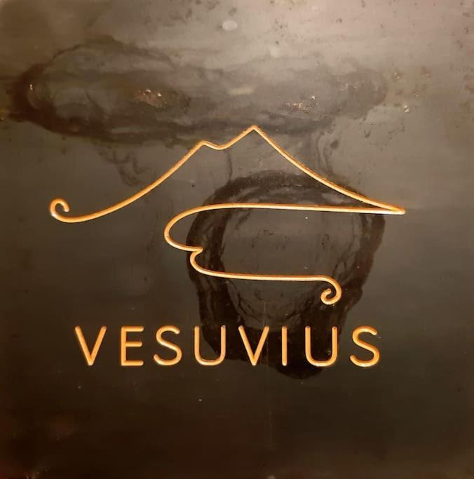 Vesuvius A Mezzocannone Διαμέρισμα Νάπολη Εξωτερικό φωτογραφία